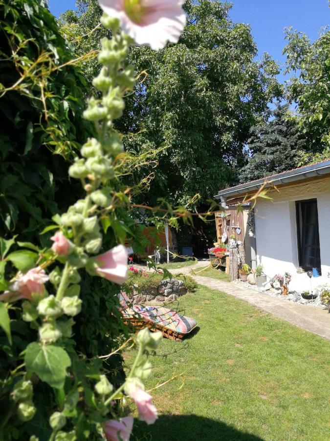 Bungalow Bei Warnemuende Elmenhorst/Lichtenhagen Esterno foto